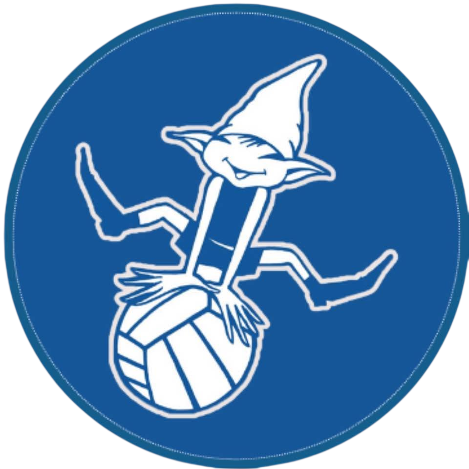 Borgovolley